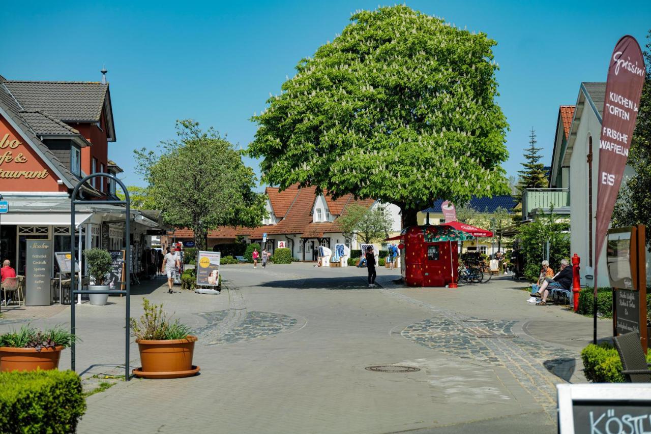 Ferienwohnungen Meerfarbig Zingst - Haustierfrei -Terrasse Mit Strandkorb Oder Balkon - E-Ladesaeule - Parkplatz - Wlan - Fahrradschuppen - Waschtrockner - Ruhig Und Zentral - Nichtraucher Exterior foto
